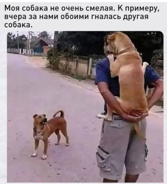 Мем, Mghost