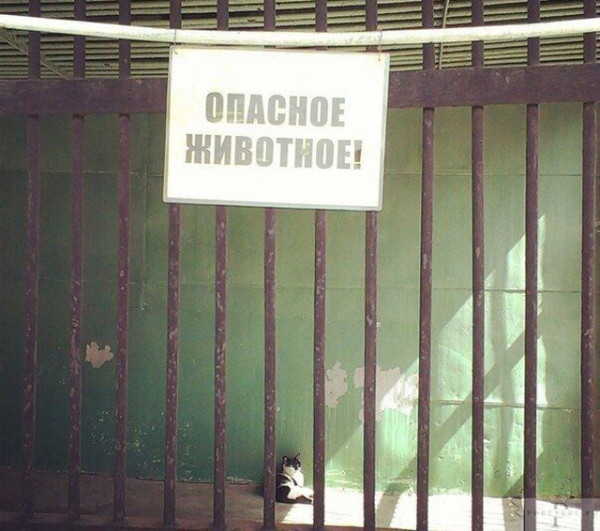 Мем