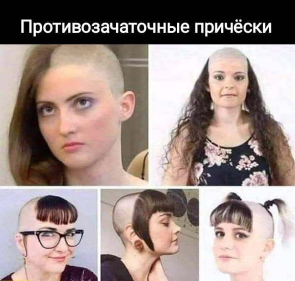 Мем, Рысь