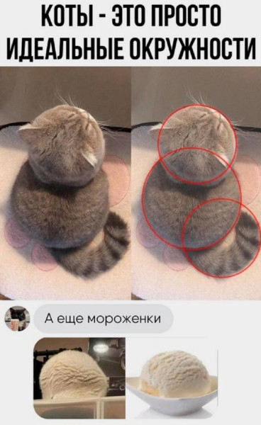 Мем: ещё, Антиклептократ