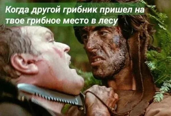 Мем, Bassplayer Мем, Bassplayer