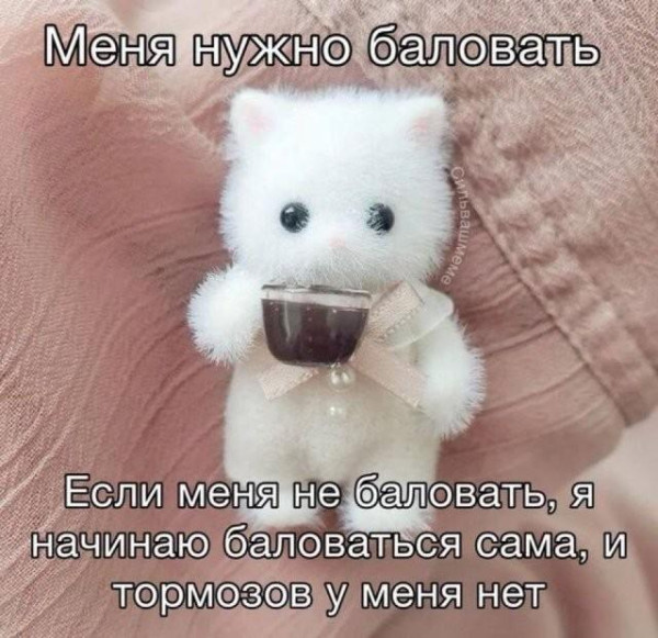 Мем, Антиклептократ Мем, Антиклептократ