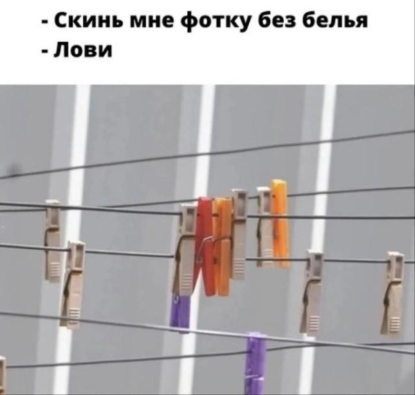 Мем, Антиклептократ Мем, Антиклептократ