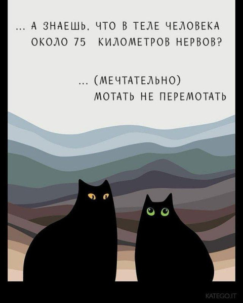 Мем, Антиклептократ Мем, Антиклептократ