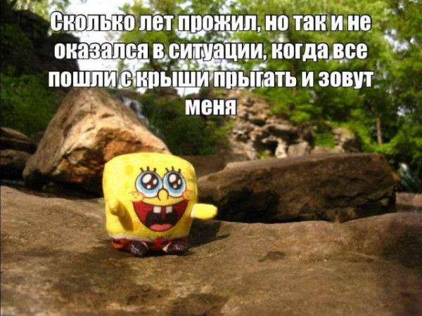 Мем, Bassplayer Мем, Bassplayer