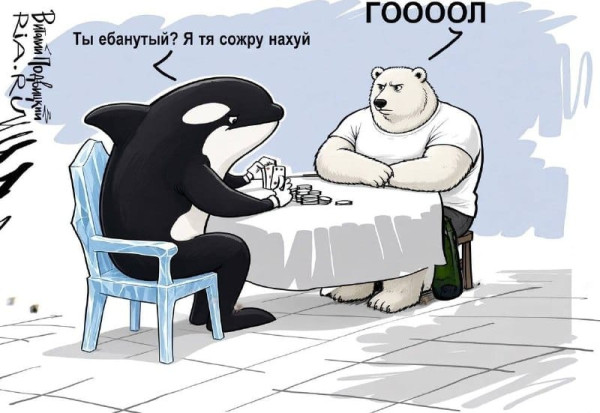 Мем, FDio Мем, FDio