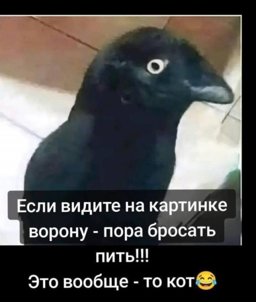 Мем Мем