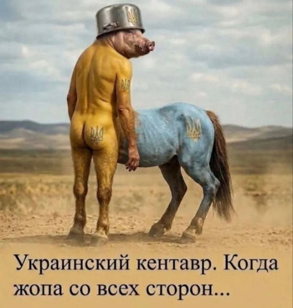 Мем, Максим Камерер