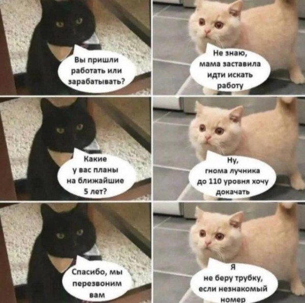 Мем, Антиклептократ Мем, Антиклептократ