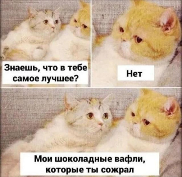 Мем, Антиклептократ Мем, Антиклептократ
