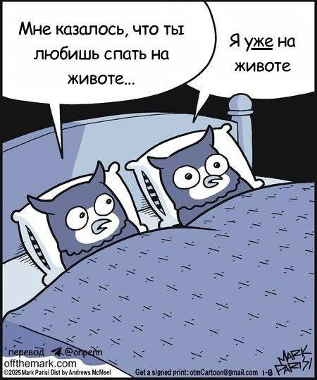 Мем, Антиклептократ Мем, Антиклептократ