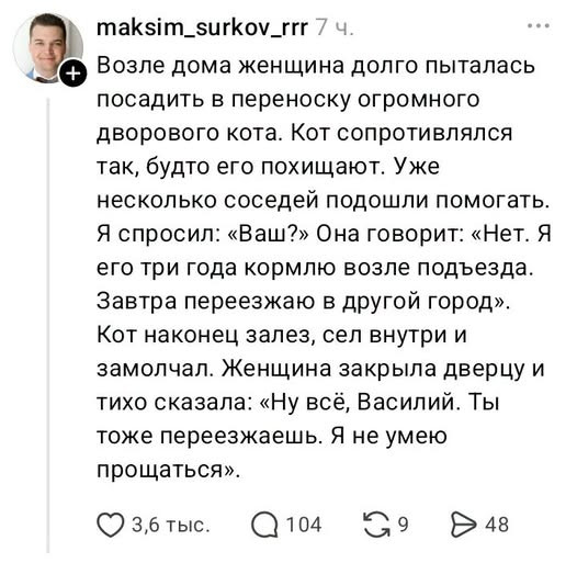 Мем, Bassplayer Мем, Bassplayer