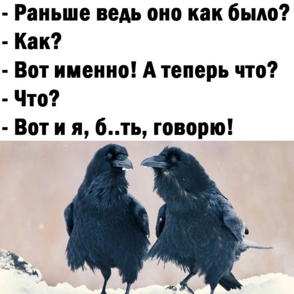 Мем, Ashmedai Мем, Ashmedai