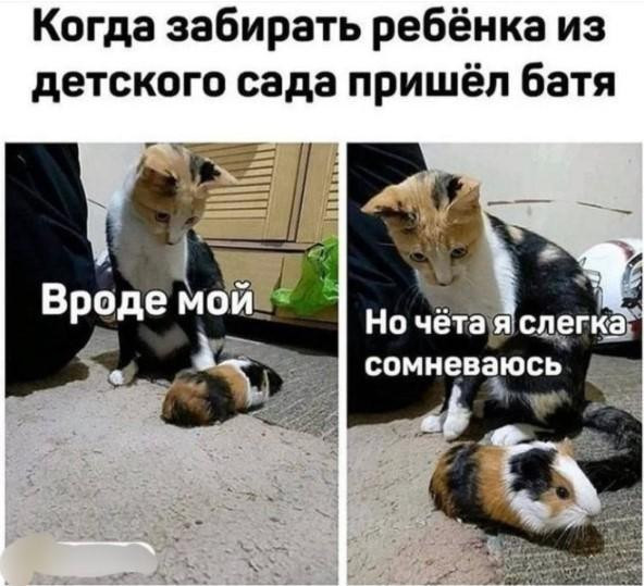 Мем: чё-то, Антиклептократ