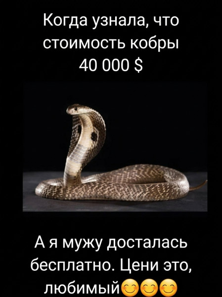Мем: Не отпускай меня, любимый, 1andreymx Мем: Не отпускай меня, любимый, 1andreymx