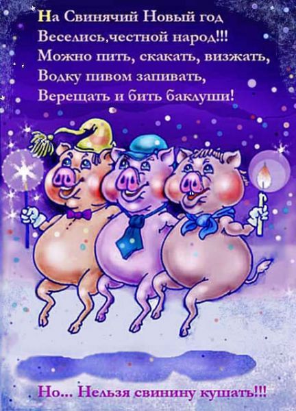Карикатура: ЗИМЕ-УРА!!!, Андрей Дулепов(DULEPOV), работа с конкурса \"Новогодняя Открытка 2007\"