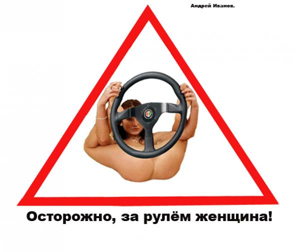 Карикатура: Женщина за рулем!, Андрей Иванов.