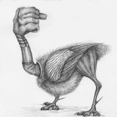 Карикатура: Ostrich, O.Andrey