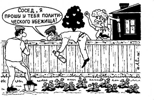 Карикатура, Александр Саламатин