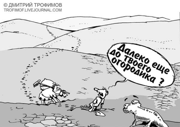 Карикатура, Трофимов Дмитрий