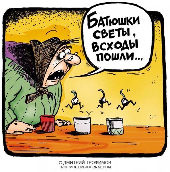 https://www.anekdot.ru/i/caricatures/normal/8/7/10/22.jpg