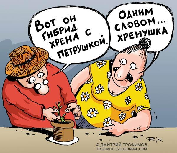 Карикатура: Хренушка, Трофимов Дмитрий