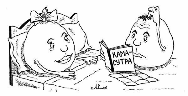 Карикатура: Камасутра, Александр Саламатин
