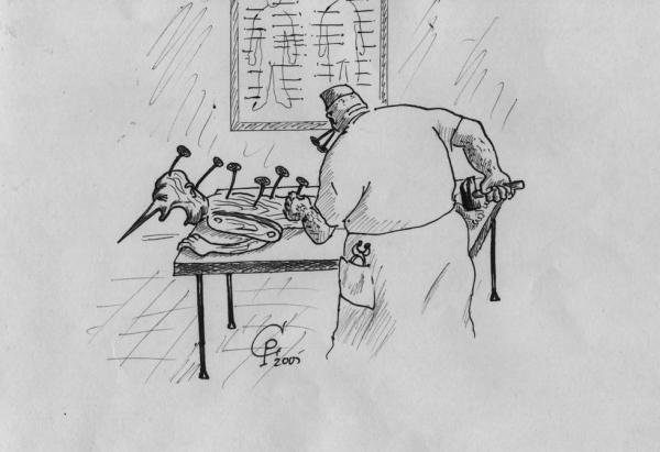 Карикатура: Иглоукалывание, Серебряков Роман
