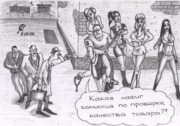 Карикатура: Проверяющие, Серебряков Роман
