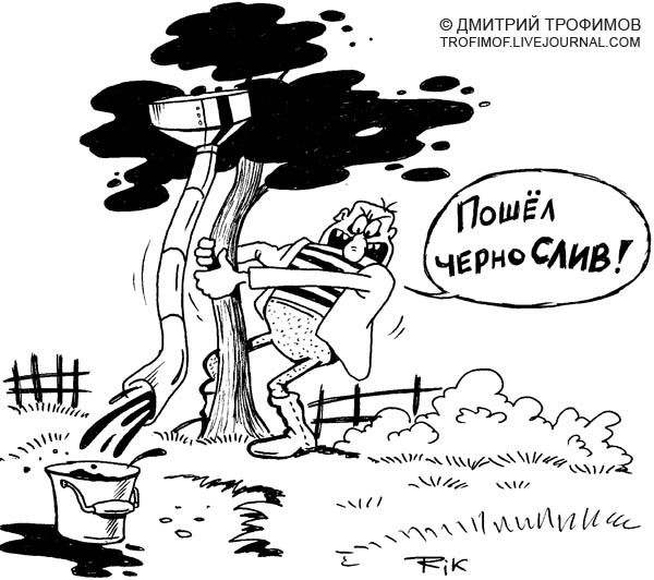 Карикатура, Трофимов Дмитрий